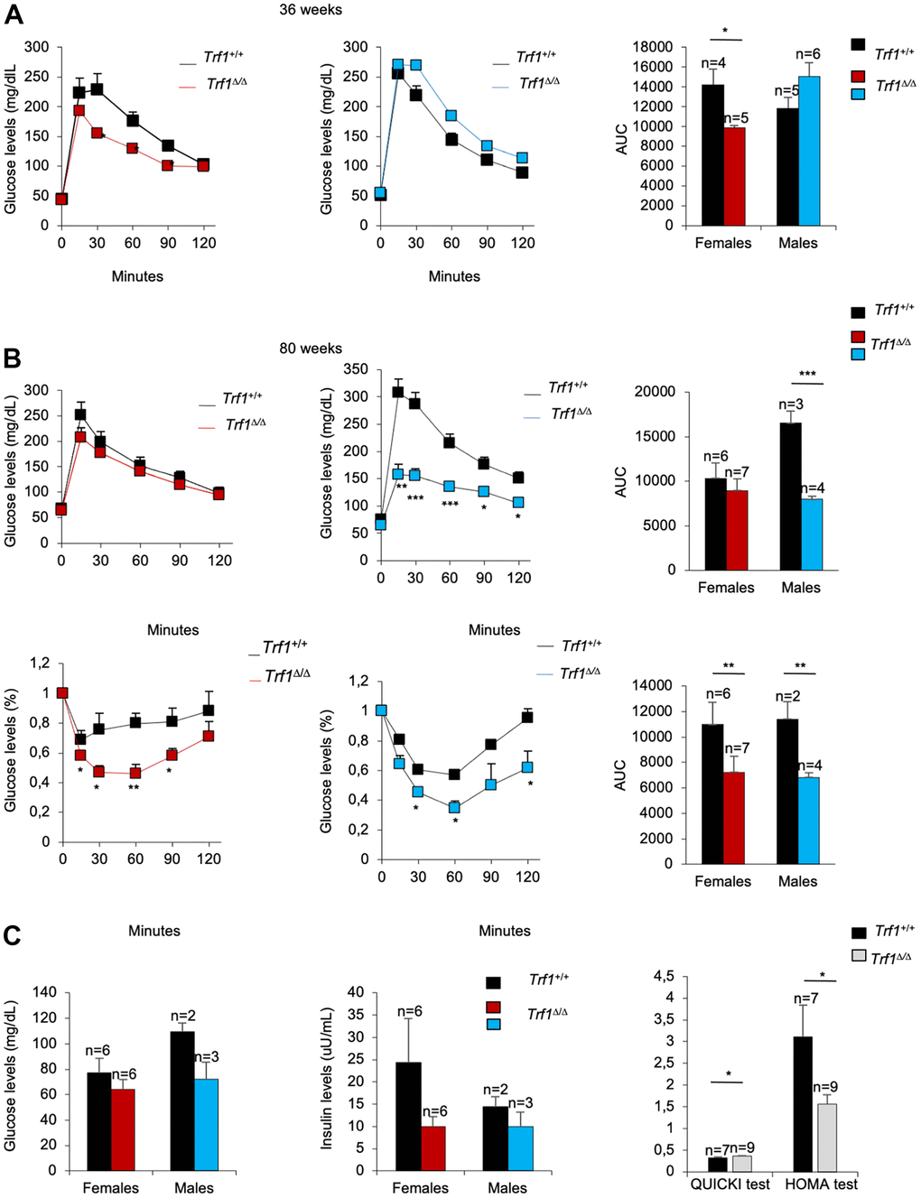 Trf1Δ/Δ mice show better tolerance to glucose. (A) Glucose tolerance test in 36-week-old-mice. Left: fasting glucose levels (mg/dl) measured at different time points (minutes) in females and males. Right: quantification of the area under the glucose tolerance test curve (AUC) in females and males. Note that Trf1 Δ/Δ females have lower glucose levels compared to wild-types. (B) Glucose and insulin tolerance test in 80-week-old-mice. Up: Glucose tolerance test. Left: fasting glucose levels (mg/dl) measured at different time points (minutes). Right: quantification of the area under the glucose tolerance test curve (AUC) in females and males. Bottom: Insulin tolerance test. Left: glucose levels (%) relative to glucose levels in fasting measured at different time points (minutes). Right: quantification of the area under the insulin tolerance test curve (AUC) in females and males. Note that Trf1Δ/Δ males have a better tolerance to glucose than wild-types. In addition, Trf1Δ/Δ mice showed better tolerance to insulin. (C) Fasting glucose and fasting insulin levels, derived HOMA-IR insulin-resistance quantification, and QUICKI insulin sensitivity quantification of 80-week-old males and females. Note that Trf1Δ/Δ have increased insulin sensitivity and improved insulin resistance shown by QUICKI and HOMA-IR index respectively. Error bars, s.e.m.; only significant values are shown; *P P P t-test (A–C)