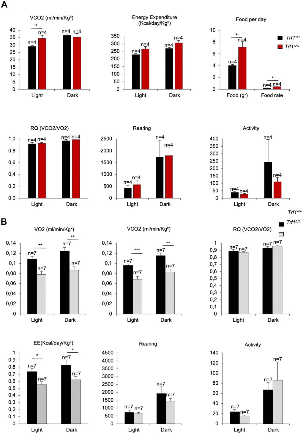 Trf1Δ/Δ deleted mice show enhanced fitness compared to wild type mice. (A) Volume of dioxide produced (VCO2) (ml/min/Kgk), energy expenditure rate (EE) (Kcal/day/Kgk), food intake per day, respiratory quotient (RQ), rearing and activity monitorization during light and dark cycles in metabolic cages in 43 weeks females’ mice. Note that females without Trf1 produce more volume of CO2, tend to consume more energy, and have higher food intake than wild-types. (B) Volume of oxygen consumed (VO2), volume of carbon dioxide produced (VCO2) (ml/min/Kgk), respiratory quotient (RQ), energy expenditure rate (EE) (Kcal/day/Kgk), activity and rearing monitorization during light and dark cycles in 80 weeks females and male’s mice. Note that Trf1Δ/Δ mice had significantly lower VO2, VCO2, and energy expenditure compared to wild-types. Error bars, s.e.m.; only significant values are shown; *P P P t-test (A, B)