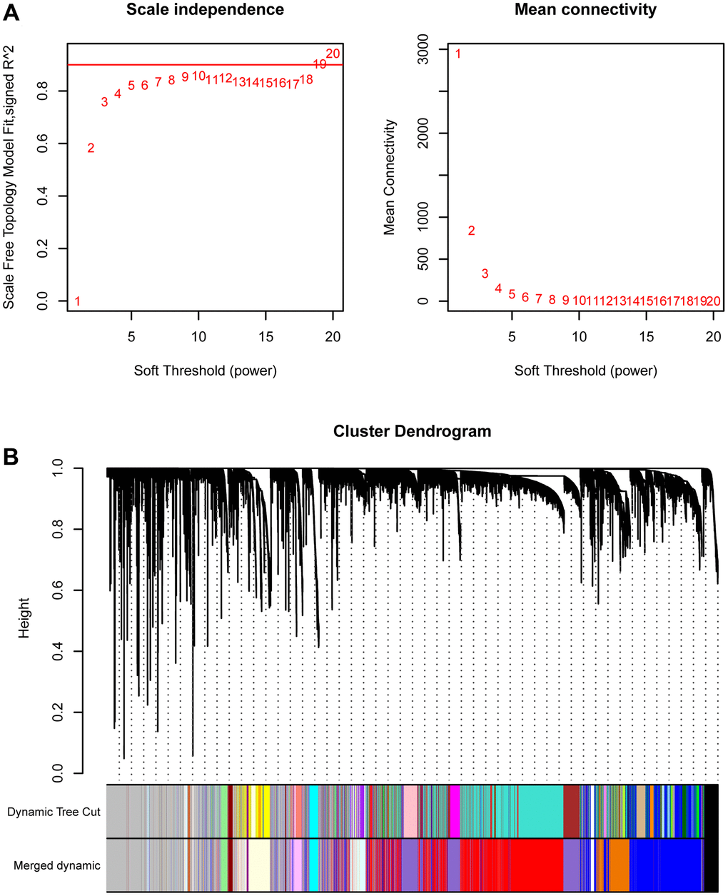 WGCNA. (A) The best soft threshold selection of WGCNA. (B) The combination of similar gene modules.