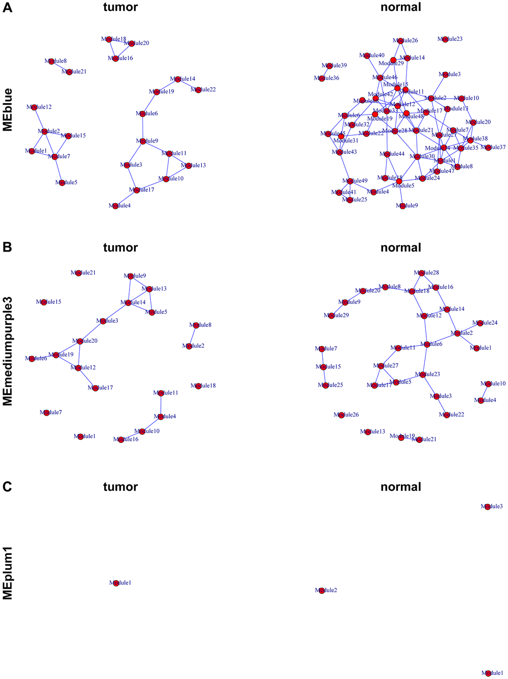 Representation of the module networks. Images of MEblue (A), MEmediumpurple3 (B), and MEplum1 (C) module networks from the TCGA-PRAD were shown. Each node represented one module, and each edge represented the module correlation.