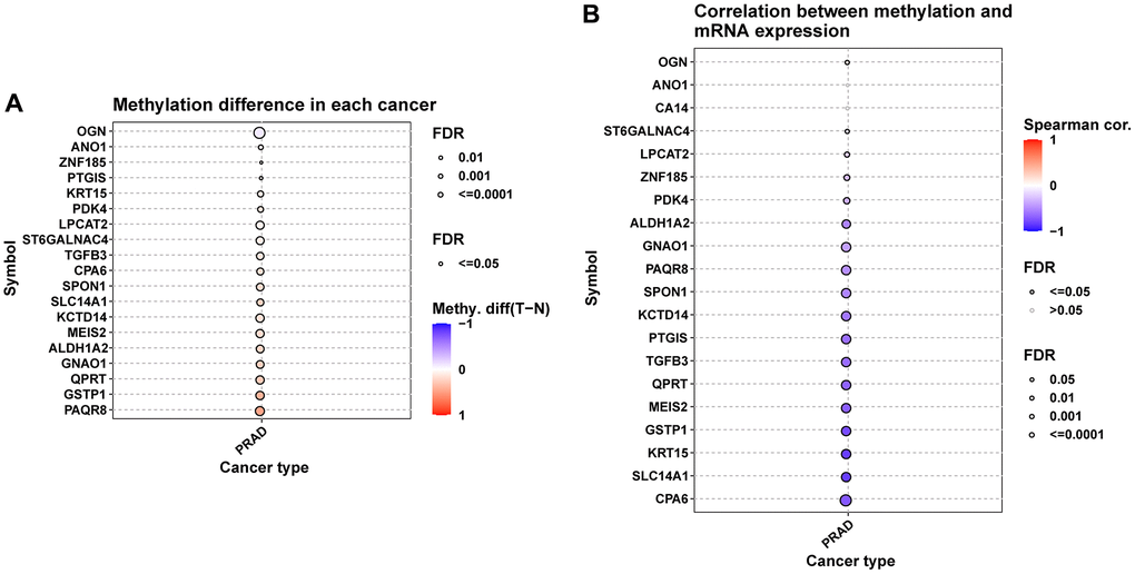 Methylation analysis of hub genes. (A) Figure summarizes the methylation difference between tumor and normal samples of hub genes in TCGA-PRAD. (B) Figure summarizes the correlation of methylation level with their mRNA expression TCGA-PRAD.