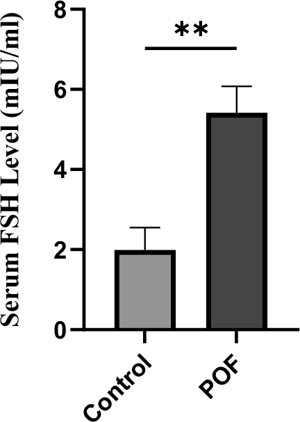 Serum FSH levels measured 3 weeks after induction of POF in CTX (100 mg/kg)/Bu (20 mg/kg)-treated mice compared with control group. Data are presented as mean ± SD; p 