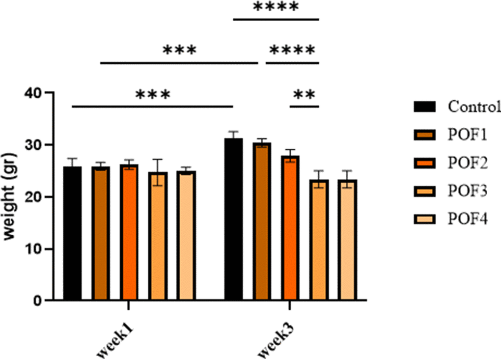 Body weight of mice at week 1 (first day post-administration) and week 3 (the twenty-first day post-administration) across different treatment groups: Cyclophosphamide (CTX:80,100,120,120 mg/Kg). Data are presented as mean ± SD. Two-way ANOVA revealed significant effects of time, group, and time × group interaction. Post-hoc analysis indicated significantly lower body weights in POF2, POF3, and POF4 groups compared with controls at week 3 (p 
