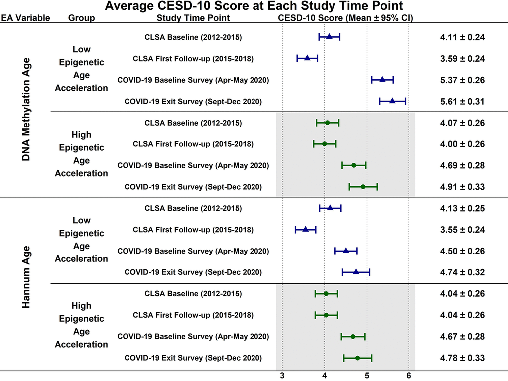 Estimated mean 10-item center for epidemiological studies depression scale (CESD-10) scores at each study timepoint for participants with low (-1 SD) and high (+1 SD) epigenetic age as determined by both epigenetic age markers.