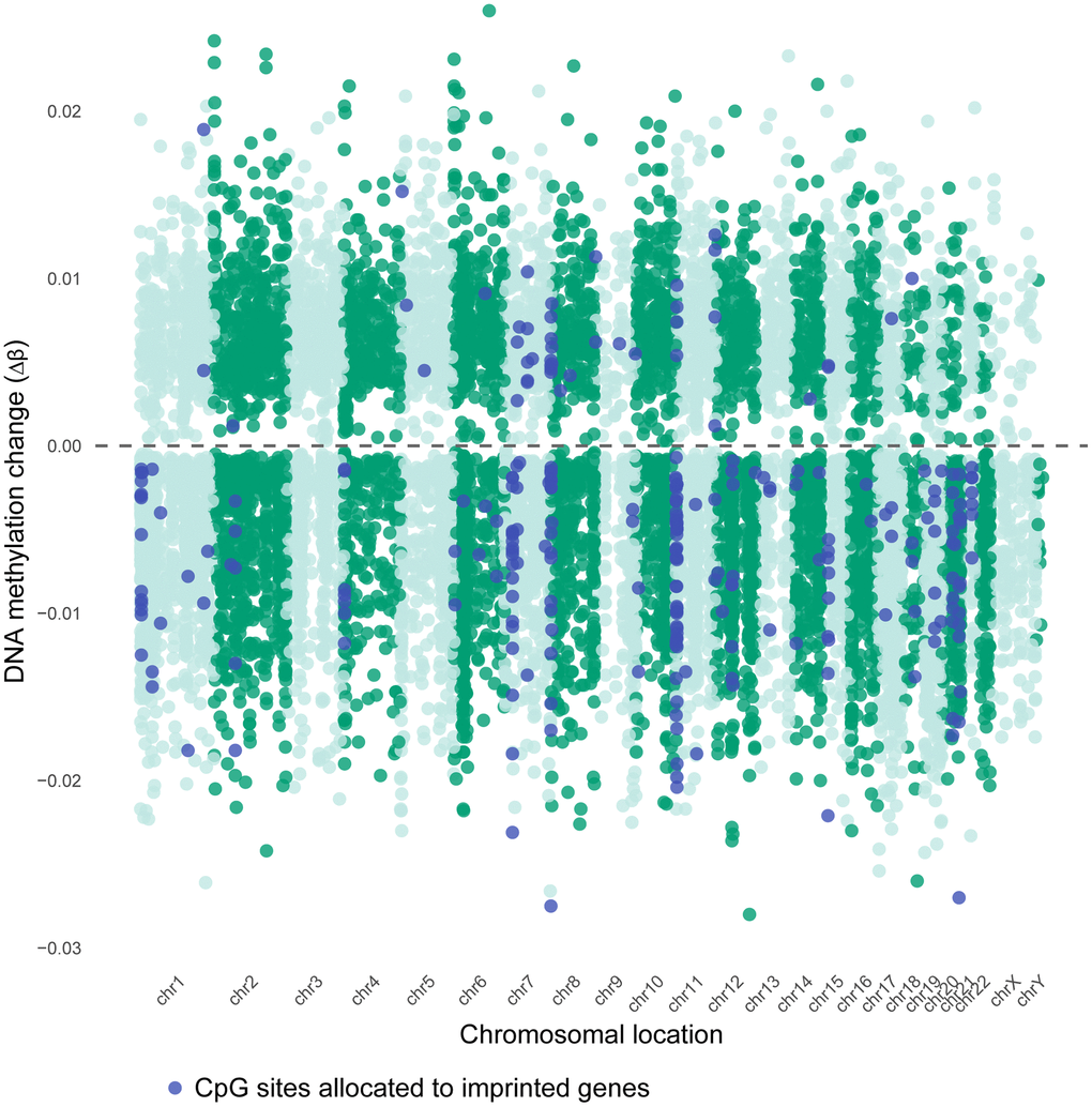 Chromosomal distribution of age-associated DMCs in sperm. Miami plot of age-associated differentially methylated CpG sites (DMCs), shown by direction of change (Delta β >0 relates to an increase in number of sperm cells that are methylated, Delta β Δβ=2(M0+delta M)1+2(M0+delta M)−2M01+2M0. Significant DMCs correspond to FDR 