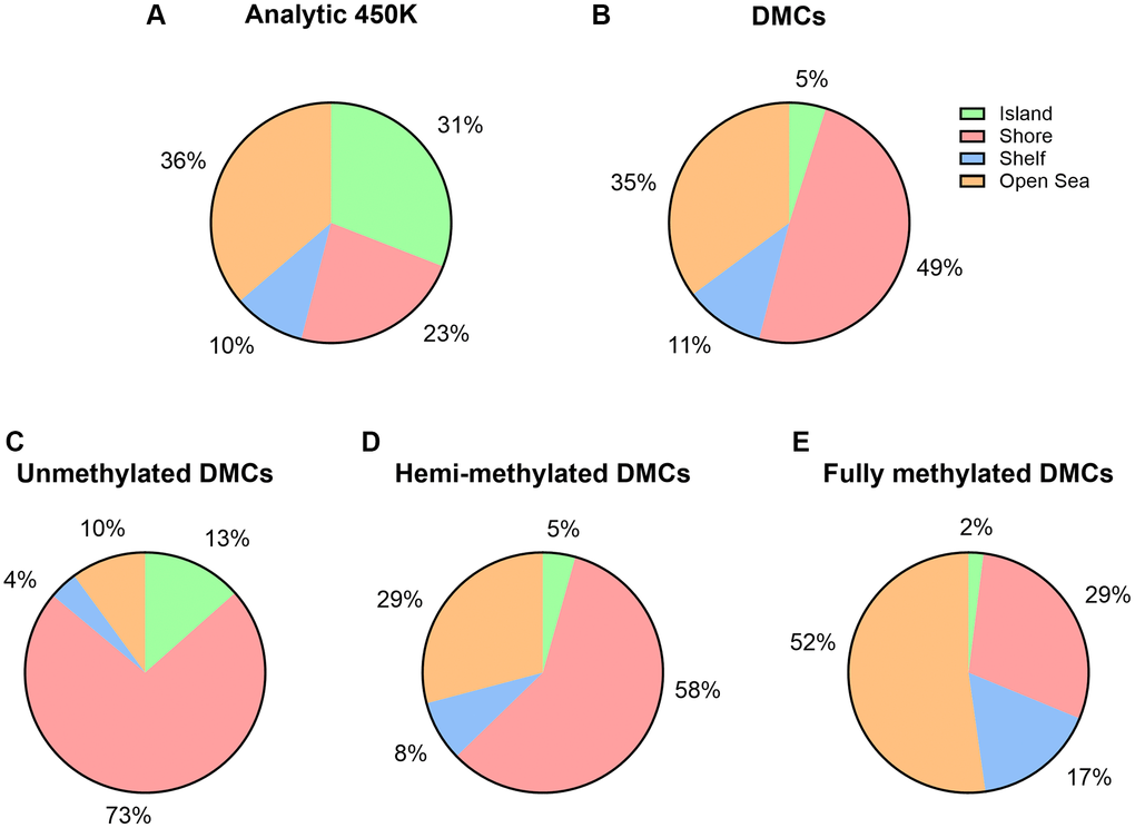 Island content of CpGs within 450K array and age-associated DMCs. (A) Percentages of CpGs by island content are displayed with respect to the 450K (n = 482,287). (B) Percentages of CpGs by island content are displayed with respect to the number of significant age-related DMCs (n = 14,622). (C–E) By DNA methylation subgroup (Abbreviations: UM: unmethylated, mean β-value 0.80).