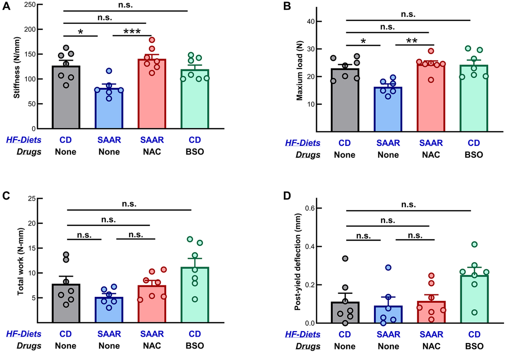 Mice on the BSO had bones with similar mechanical strength to those on the control diet. The SAAR diet decreased (A) stiffness (SAAR B) maximum load (SAAR C) total work (SAAR = CD = NAC) and (D) post-yield deflection (SAAR = CD = NAC). BSO did not affect any measure of mechanical strength at all (CD = BSO). Note: Sample sizes and statistical methods are similar to those in Figure 1.