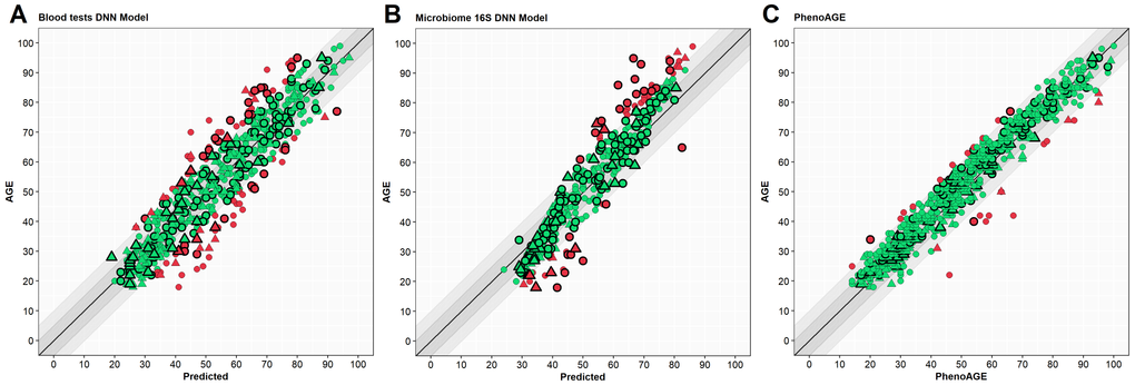 Scatter plots of results from different models. Y-axis – Age (years), X-axis – predicted age. Circle – women, triangle – men. Green – case in a 10-year spread, red – out of spread. Points with border – test set cases. (A) – blood tests model, (B) – microbiome model, (C) – PhenoAge. Outlined shapes – test subset samples.