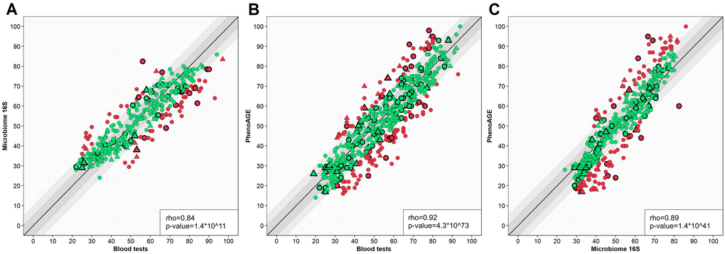 Scatter plots of different model results comparison. Y-axis – one model, X-axis – another model. Circle – women, triangle – men. Green – case in a 10-year spread, red – out of spread. Points with border – test set cases. (A) – blood tests model versus microbiome model, (B) – blood tests model versus PhenoAge, (C) – microbiome model versus PhenoAge. Outlined shapes – test subset samples. The correlation coefficients are presented for the test set.