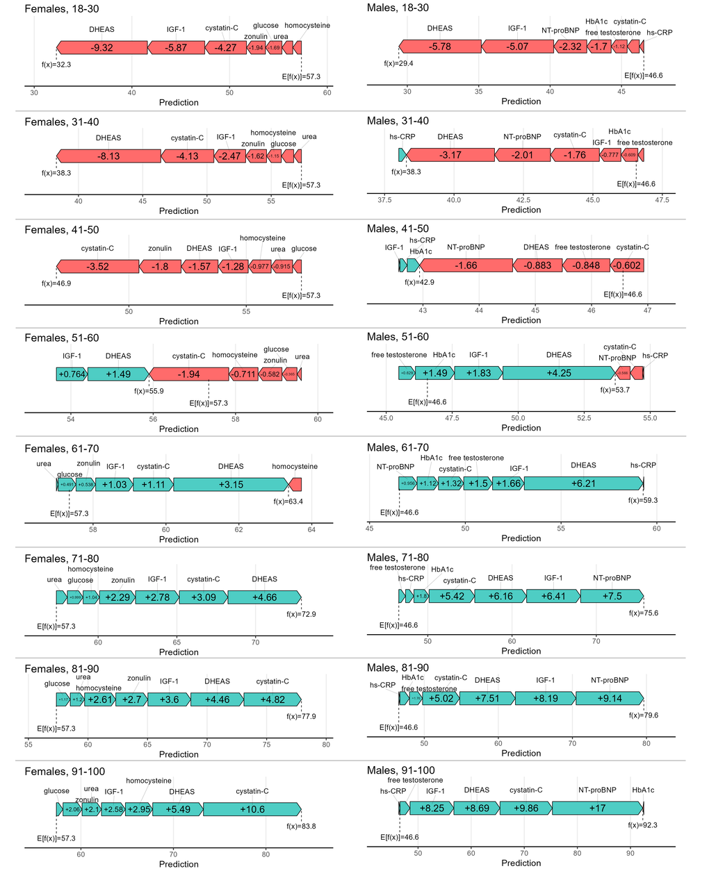 Collapsed SHAP values (in years) of each predictor in age groups for females and males.
