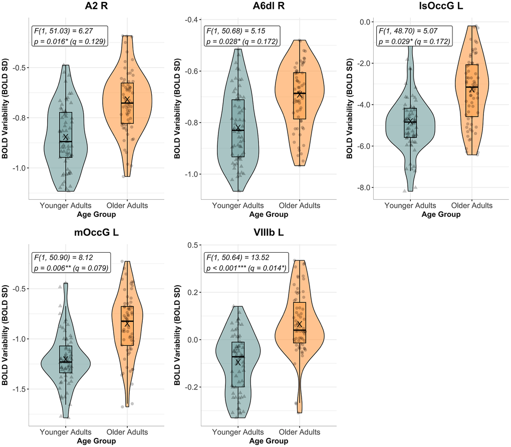 BOLD variability by age group in significant ROIs for main effect of age group before FDR correction. The figure shows transformed BOLD variability (BOLD SD) across age groups (Younger Adults in teal, and Older Adults in orange) during the Bimanual Tracking Task (BTT) for regions of interest (ROIs) that showed a significant main effect of AGE GROUP prior to FDR correction for multiple comparisons (p q > 0.05). Individual data points reflect BOLD SD values pooled across all task conditions, per subject. F- and p-values for the main effect of AGE GROUP are reported for each ROI. Uncorrected significance levels: * p p p 