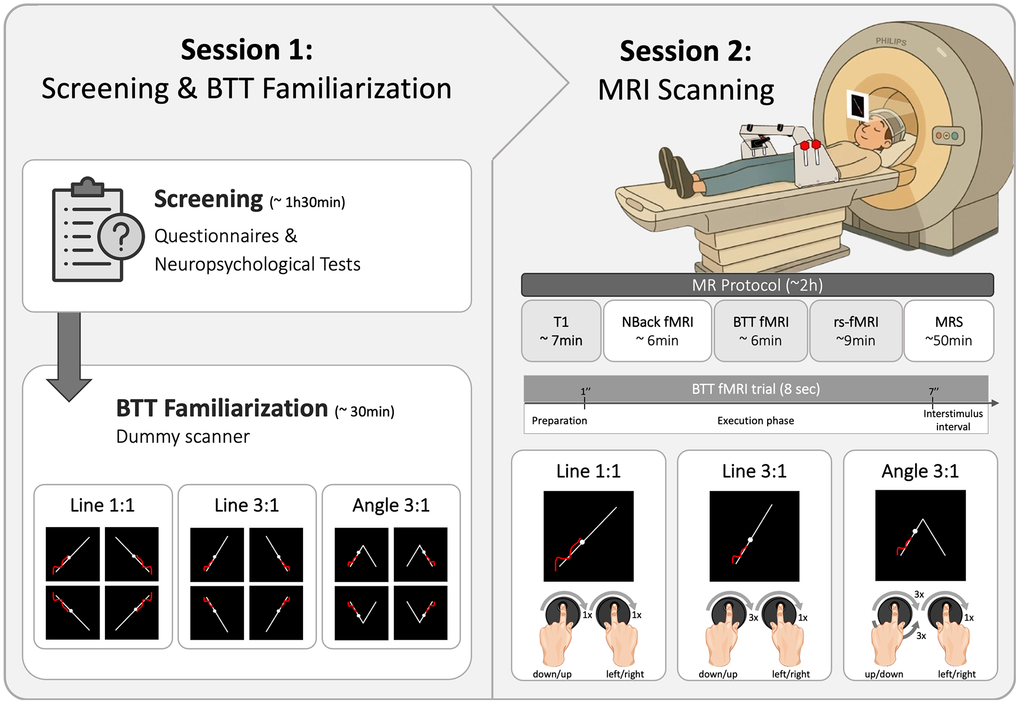 Experimental protocol. The figure shows the study protocol consisting of two sessions, each lasting approximately two hours. The first session included a screening and BTT familiarization in a dummy MR scanner. During this session, participants were introduced to the Bimanual Tracking Task (BTT) and performed three task conditions - Line 1:1, Line 3:1, and Angle 3:1 - in all possible directions. The task setup was placed over the participants' hips while they lay supine in the scanner. In the second session, participants underwent an MR protocol comprising several sequences. Each trial of the BTT during fMRI included a 1-second preparation phase, a 6-second execution phase, and a 1-second interstimulus interval. The same three BTT conditions were used during the fMRI scan, but only in a single direction, as shown in the figure. Abbreviations: BTT = Bimanual Tracking Task; fMRI = functional Magnetic Resonance Imaging; MR = Magnetic Resonance; MRS = Magnetic Resonance Spectroscopy; rs-fMRI = resting-state fMRI; T1 = T1-weighted.