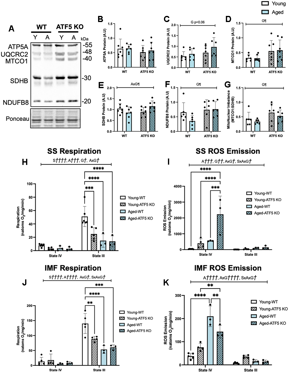 class="figure-viewer-img"