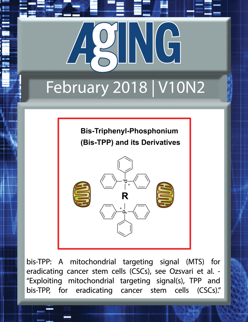 The cover for issue 2 of Aging features Figure 12 "bis-TPP: A mitochondrial targeting signal (MTS) for eradicating cancer stem cells (CSCs)" from Ozsvari et al.