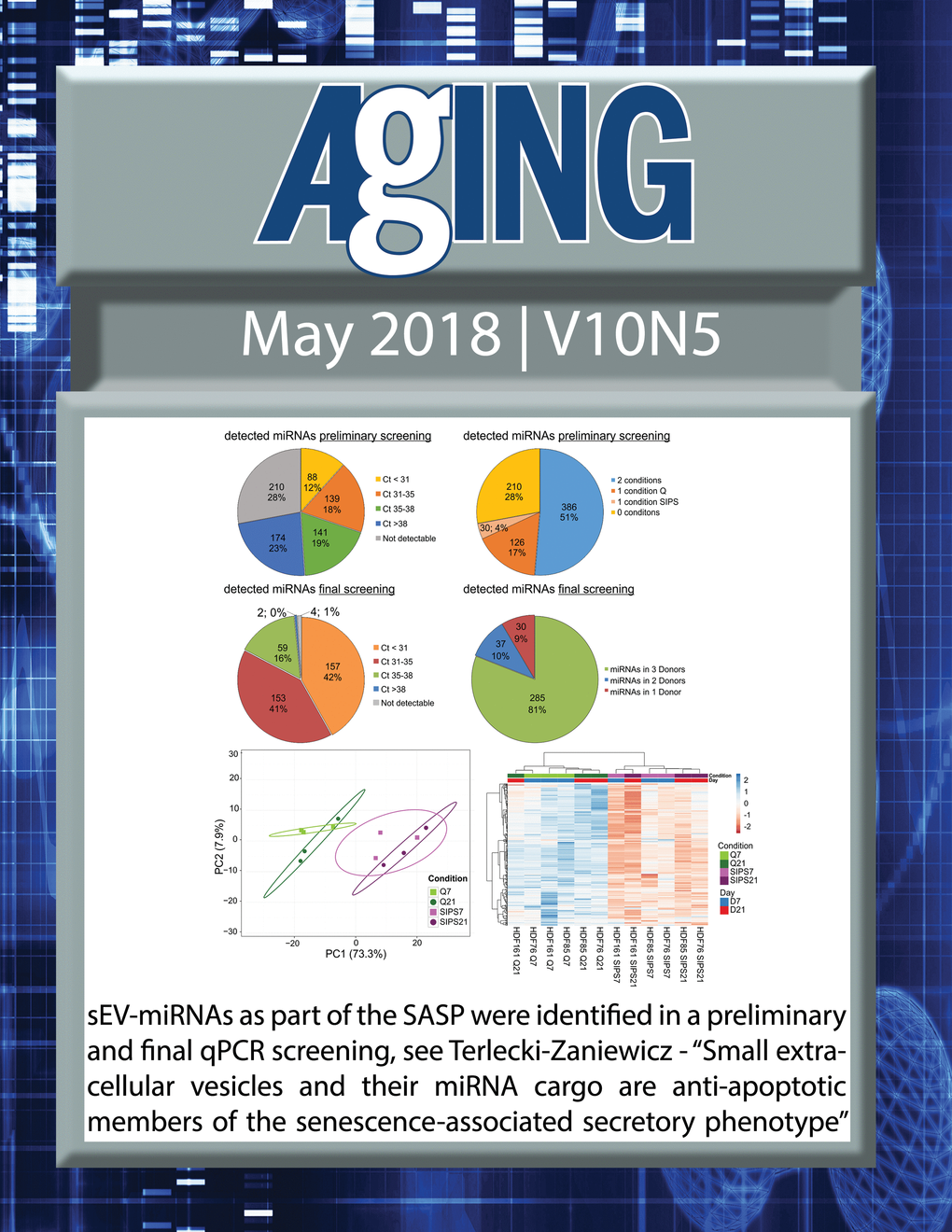 The cover for issue 5 of Aging features Figure 3 "sEV-miRNAs as part of the SASP were identified in a preliminary and final qPCR screening" from Terlecki-Zaniewicz et al.