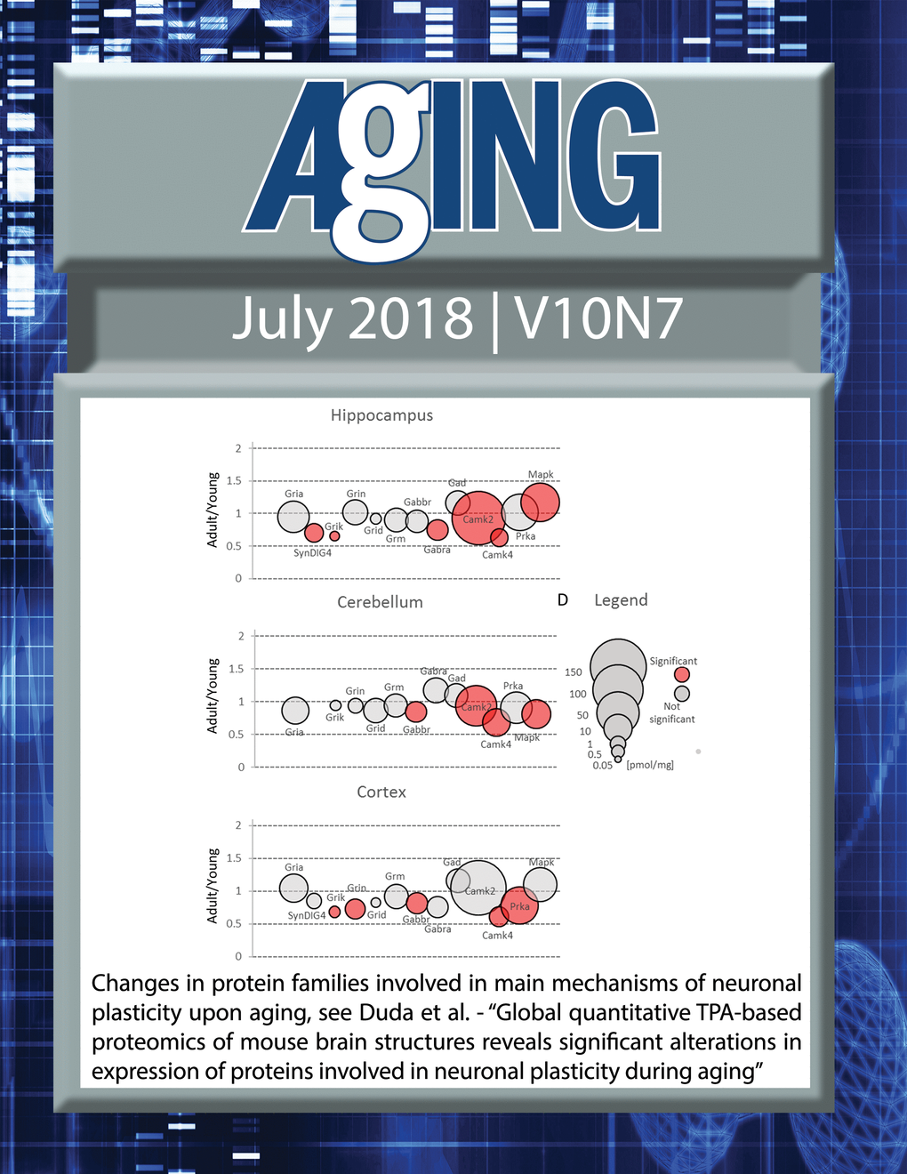The cover for issue 7 of Aging features Figure 3 "Changes in protein families involved in main mechanisms of neuronal plasticity upon aging" from Duda et al.
