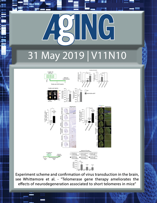 The cover features Figure 4 "Experiment scheme and confirmation of virus transduction in the brain" from Whittemore et al.