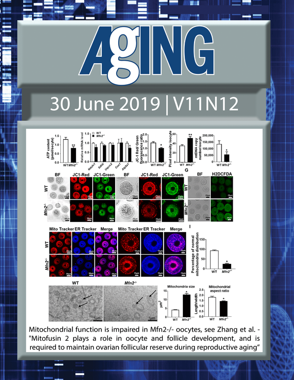 The cover features Figure 2 "Modulation of autophagy by α-ketoglutarate precursors" from Zhang et al. 