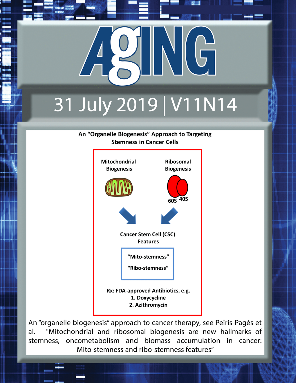 The cover features Figure 18 "An “organelle biogenesis” approach to cancer therapy." from Peiris‐Pagès et al.