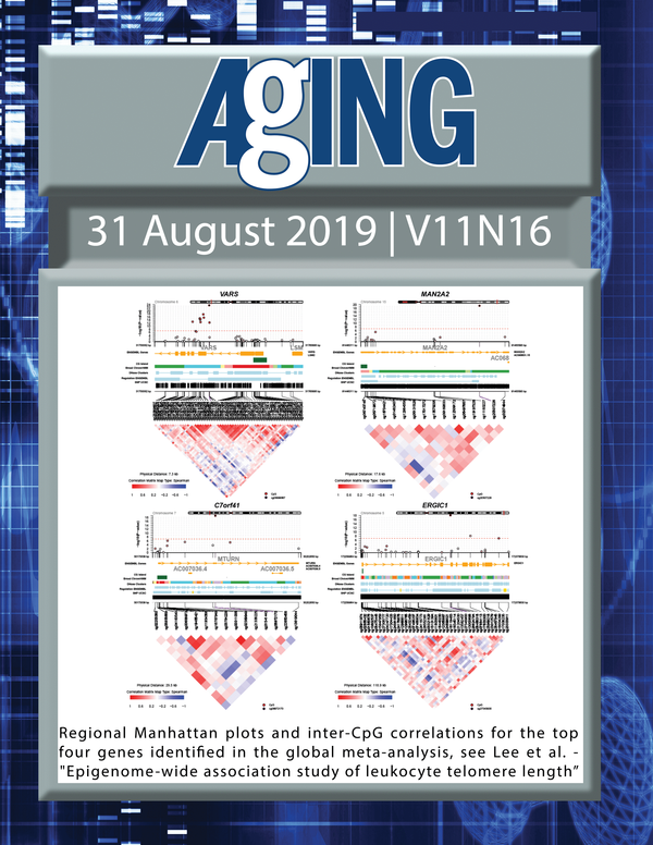 The cover feature Figure 2 "Regional Manhattan plots and inter-CpG correlations for the top four genes identified in the global meta-analysis" from Lee et al. Aging devoted the Cover to a special roundtable discussion involving Dr. Yunsung Lee, Dr. Anil P.S. Ori, Dr. Ake T. Lu, and Dr. Steve Horvath talking about the connections between two papers published in current issue “Epigenome-wide association study of leukocyte telomere length” and “DNA methylation-based estimator of telomere length"