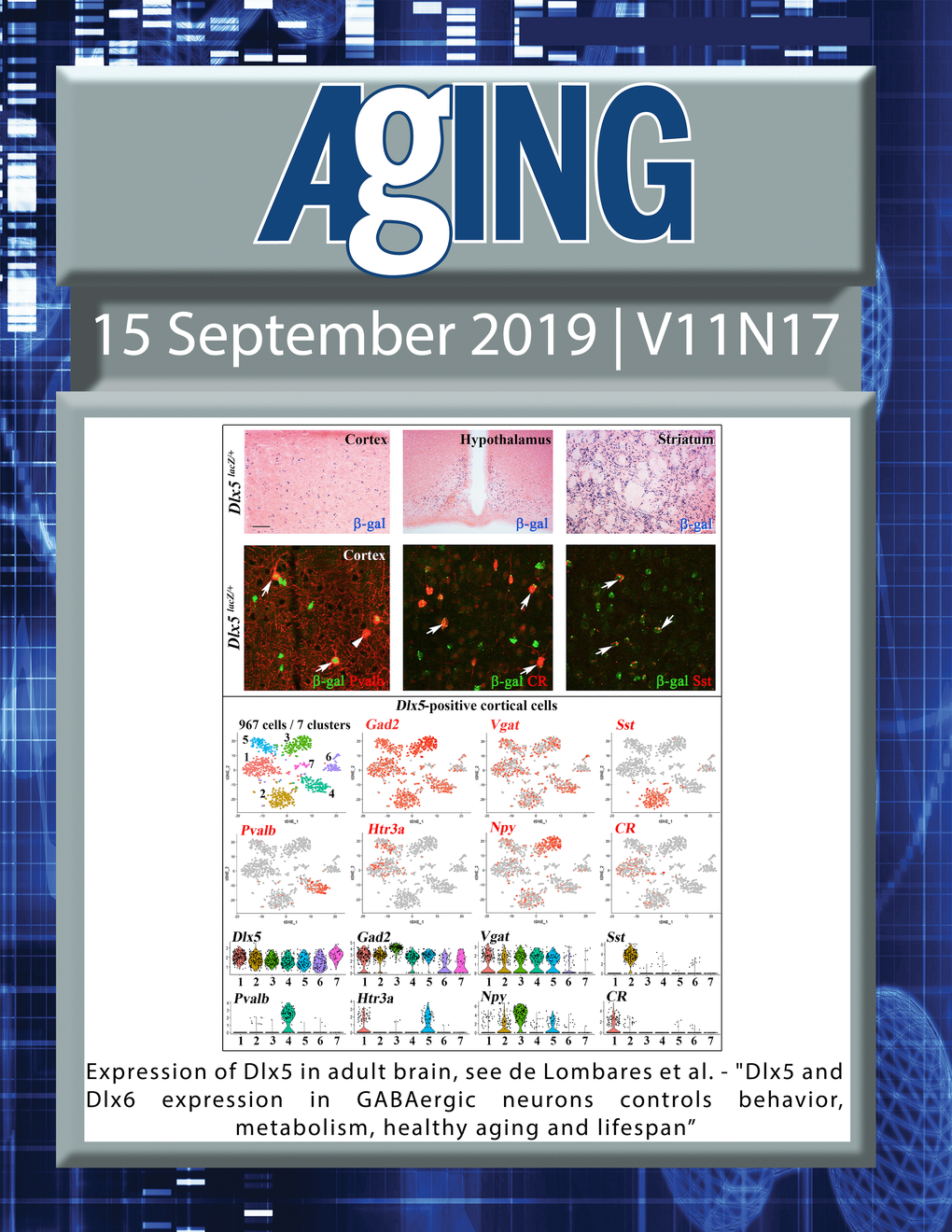 The cover features Figure 1 "Expression of Dlx5 in adult brain" from de Lombarese et al.