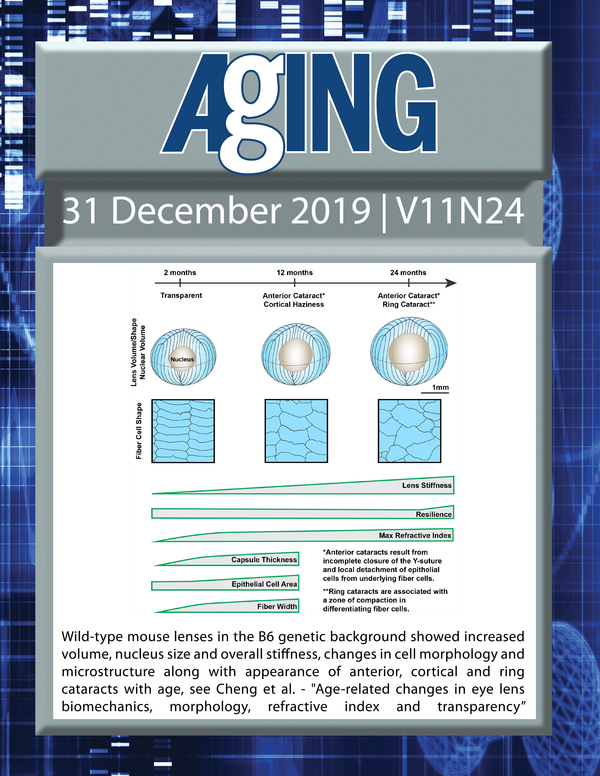 The cover features Figure 14 "Wild-type mouse lenses in the B6 genetic background showed increased volume, nucleus size and overall stiffness, changes in cell morphology and microstructure along with appearance of anterior, cortical and ring cataracts with age. “ from Cheng et al.