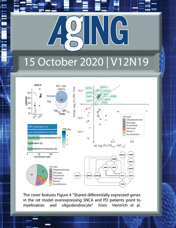 The cover features Figure 4 "Shared differentially expressed genes in the rat model overexpressing SNCA and PD patients point to myelination and oligodendrocyte“ from Hentrich et al.