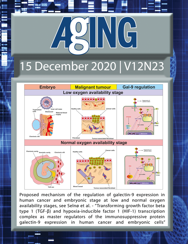 The cover features Figure 10 "Proposed mechanism of the regulation of galectin-9 expression in human cancer and embryonic stage at low and normal oxygen availability stages“ from Selnø et al.