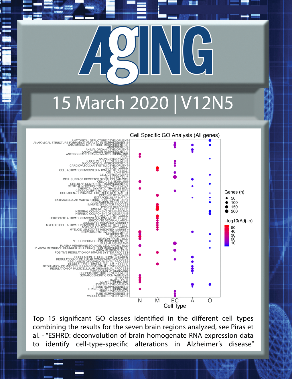 The cover features Figure 3 "Top 15 significant GO classes identified in the different cell types combining the results for the seven brain regions analyzed“ from Piras et al.