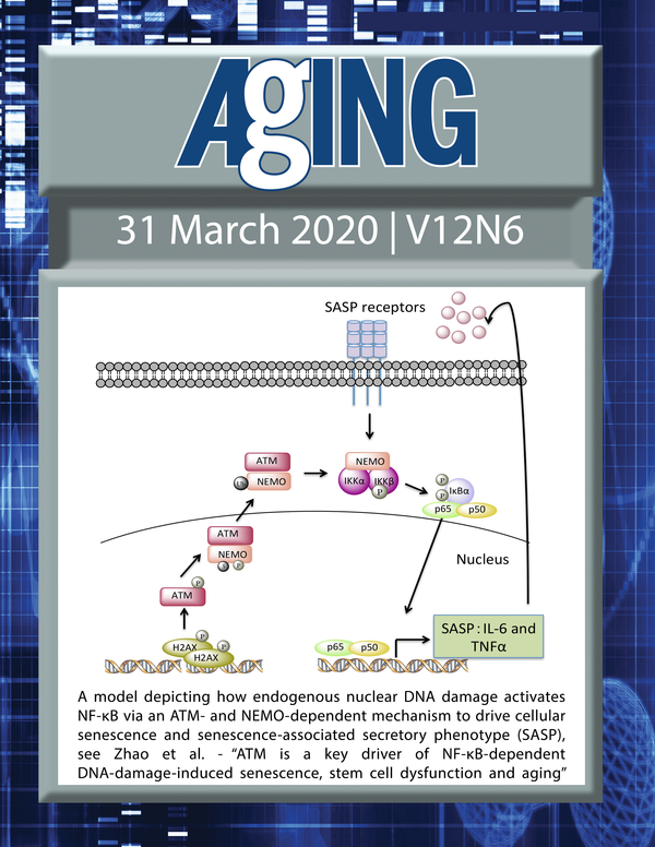 The cover features Figure 8 "A model depicting how endogenous nuclear DNA damage activates NF-κB via an ATM- and NEMO-dependent mechanism to drive cellular senescence and senescence-associated secretory phenotype (SASP)“ from Zhao et al.