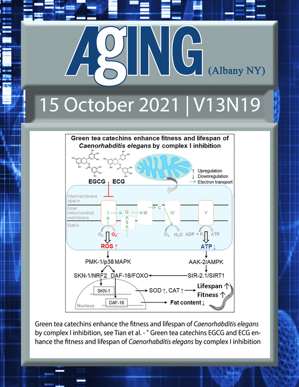 The cover features Figure 6 " Green tea catechins enhance the fitness and lifespan of Caenorhabditis elegans by complex I inhibition“ from Tian et al.