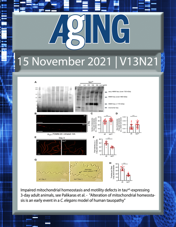 The cover features Figure 1 "  Impaired mitochondrial homeostasis and motility defects in tauwt-expressing 3-day adult animals“ from Palikaras et al.