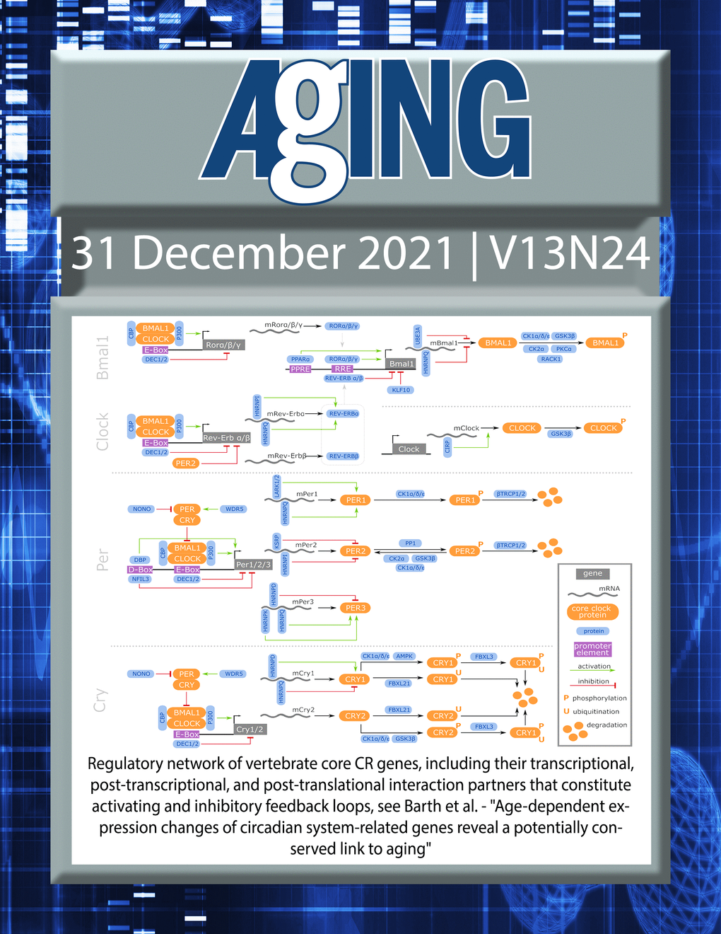 The cover features Figure 2 "Regulatory network of vertebrate core CR genes, including their transcriptional, post-transcriptional, and post-translational interaction partners that constitute activating and inhibitory feedback loops" from Barth et al.