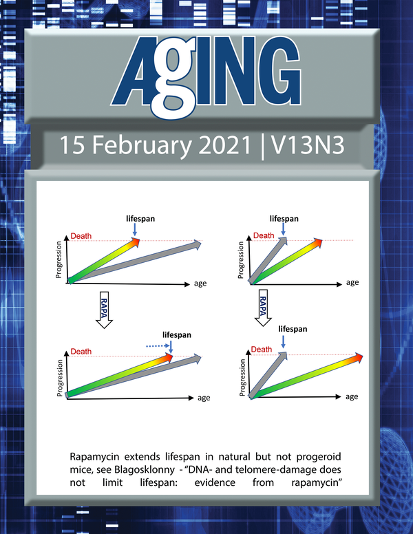 The cover features Figure 1 "Rapamycin extends lifespan in natural but not progeroid mice“ from Blagosklonny