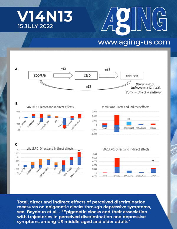 The cover features Figure 3 "Total, direct and indirect effects of perceived discrimination measures on epigenetic clocks through depressive symptoms" from  Beydoun et al.