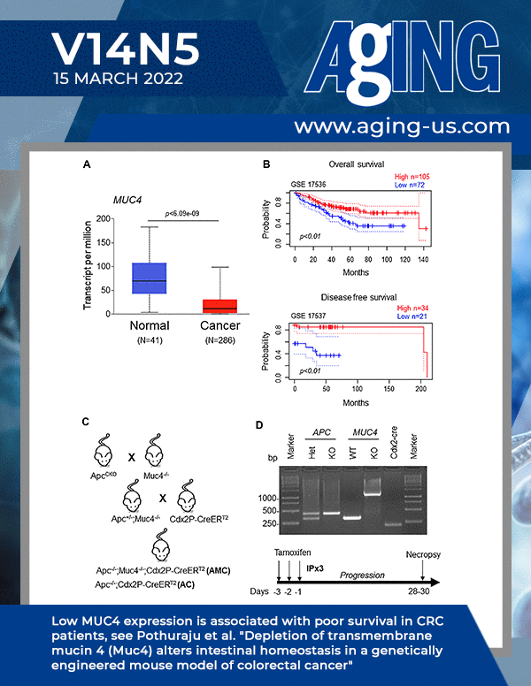 The cover features Figure 1 "Low MUC4 expression is associated with poor survival in CRC patients" from Pothuraju et al. 