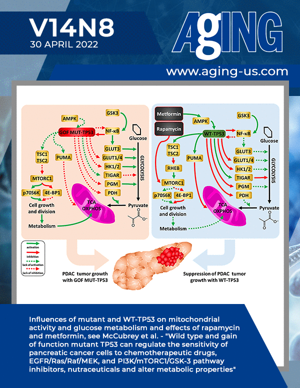The cover features Figure 16 "Influences of mutant and WT-TP53 on mitochondrial activity and glucose metabolism and effects of rapamycin and metformin" from McCubrey et al.