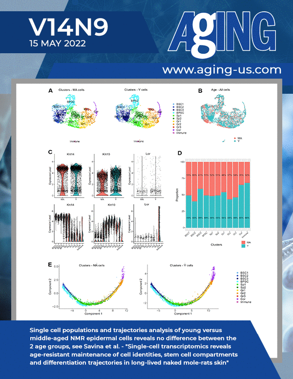 The cover features Figure 3 "Single cell populations and trajectories analysis of young versus middle-aged NMR epidermal cells reveals no difference between the 2 age groups" from Savina et al.