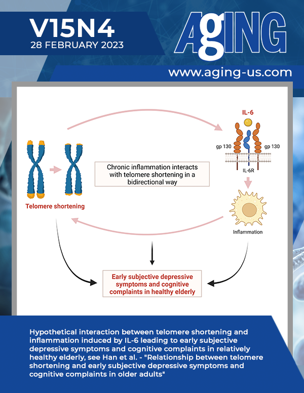 The cover features Figure 4 "Hypothetical interaction between telomere shortening and inflammation induced by IL-6 leading to early subjective depressive symptoms and cognitive complaints in relatively healthy elderly" from Han et al. 