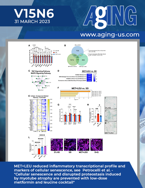 The cover features Figure 5 " MET+LEU reduced inflammatory transcriptional profile and markers of cellular senescence" from Petrocelli et al