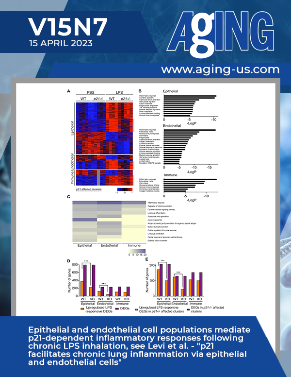 The cover features Figure 5 "Epithelial and endothelial cell populations mediate p21-dependent inflammatory responses following chronic LPS inhalation" from Levi et al.