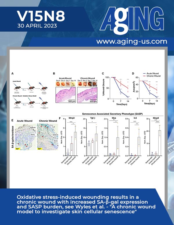 The cover features Figure 1 "Oxidative stress-induced wounding results in a chronic wound with increased SA-β-gal expression and SASP burden" from Wyles et al.