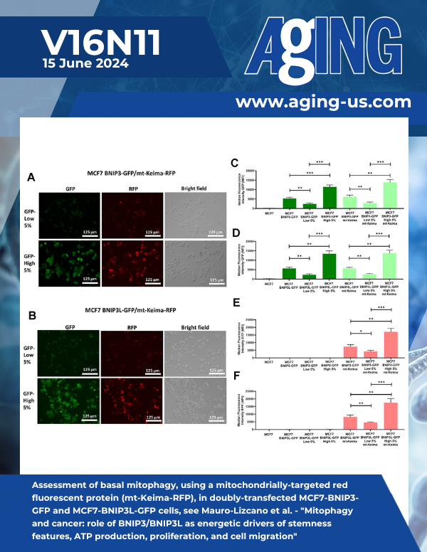 The cover features Figure 2 "Assessment of basal mitophagy, using a mitochondrially-targeted red fluorescent protein (mt-Keima-RFP), in doubly-transfected MCF7-BNIP3-GFP and MCF7-BNIP3L-GFP cells" from Mauro-Lizcano et al.