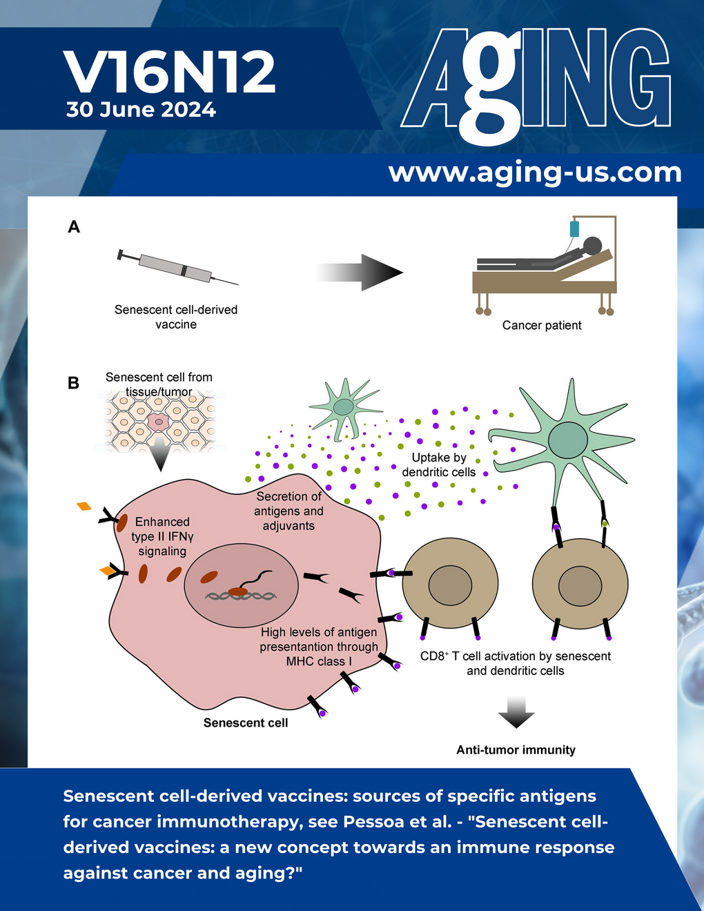 The cover features Figure 1 "Senescent cell-derived vaccines: sources of specific antigens for cancer immunotherapy" from Pessoa et al.