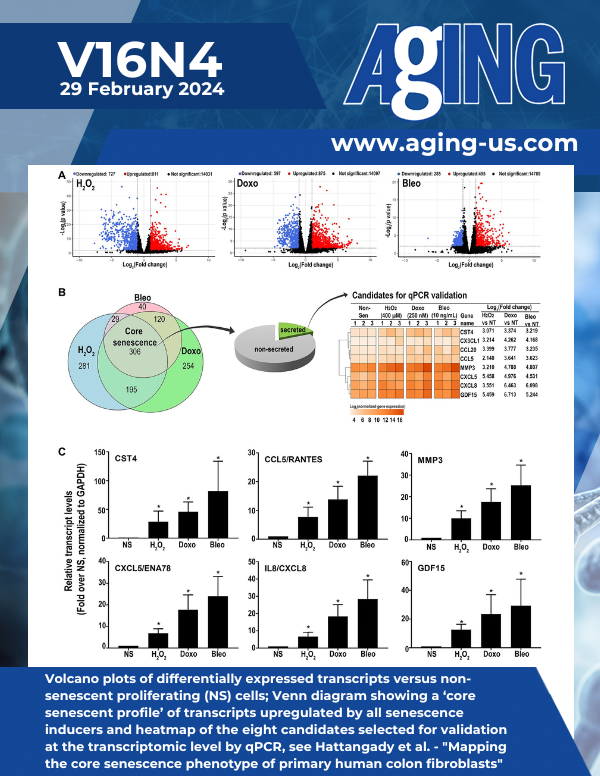 The cover features Figure 2 "Volcano plots of differentially expressed transcripts versus non-senescent proliferating (NS) cells; Venn diagram showing a ‘core senescent profile’ of transcripts upregulated by all senescence inducers and heatmap of the eight candidates selected for validation at the transcriptomic level by qPCR" from Hattangady et al.