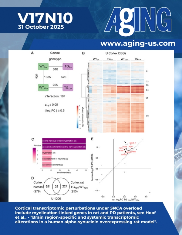 The cover features Figure 4 " Cortical transcriptomic perturbations under SNCA overload include myelination-linked genes in rat and PD patients" from Hoof et al.