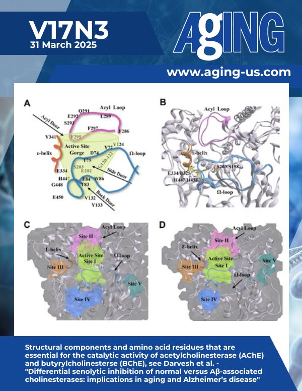 The cover features Figure 10 "  Structural components and amino acid residues that are essential for the catalytic activity of acetylcholinesterase (AChE) and butyrylcholinesterse (BChE)" from Darvesh et al. 