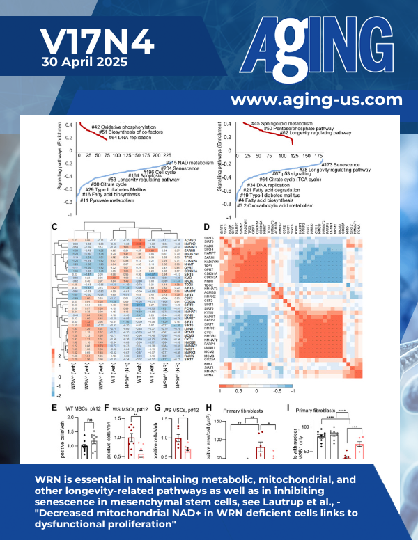 The cover features Figure 1 " WRN is essential in maintaining metabolic, mitochondrial, and other longevity-related pathways as well as in inhibiting senescence in mesenchymal stem cells" from Lautrup et al.