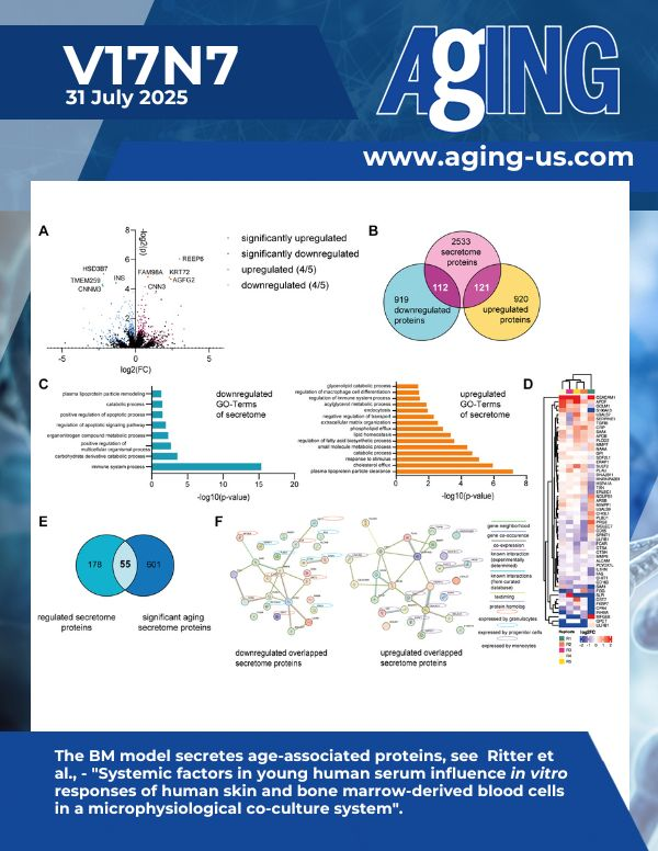 The cover features Figure 4 "The BM model secretes age-associated proteins" from Ritter et al.