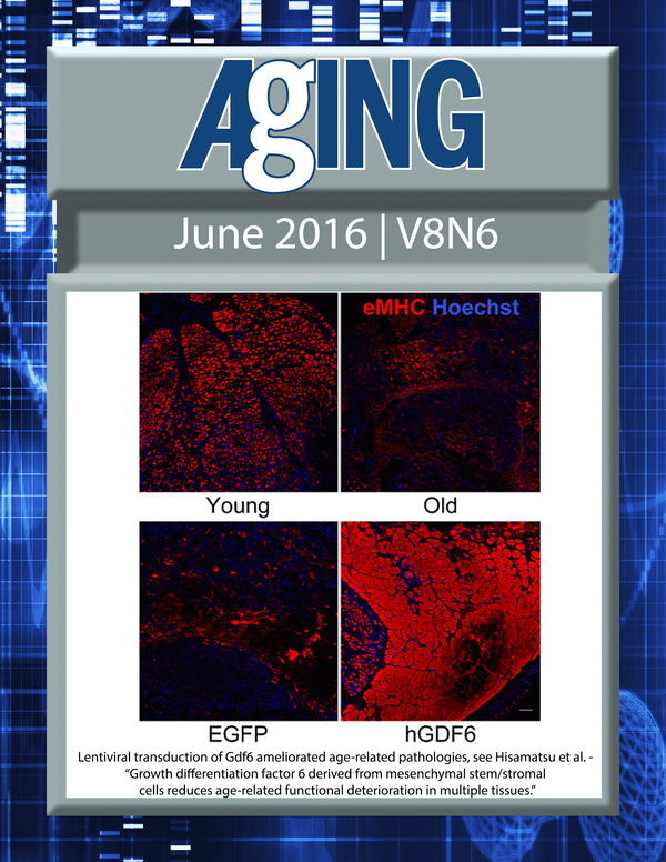 The cover for issue 6 of Aging features Figure 6B, 'Growth differentiation factor 6 derived from mesenchymal stem/stromal cells reduces age-related functional deterioration in multiple tissues' from Hisamatsu et al.